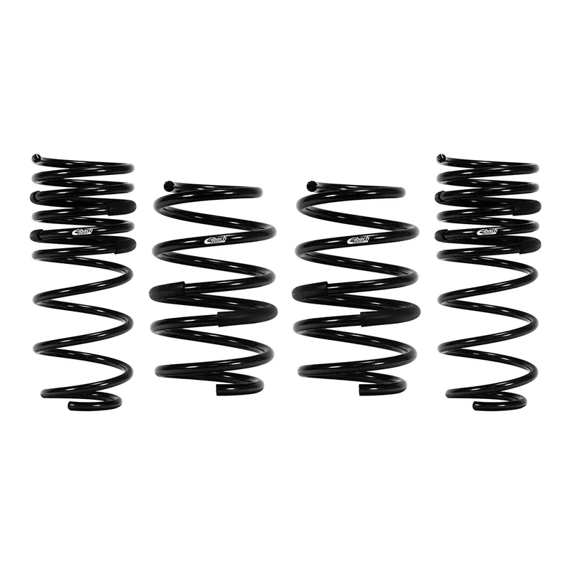 fasthemis13608932
