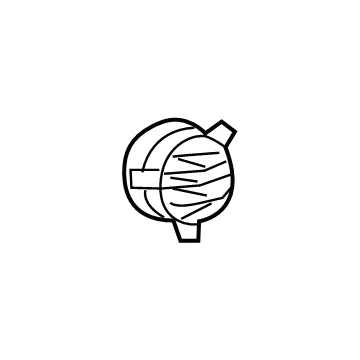 moparpartsgiant13-4431133